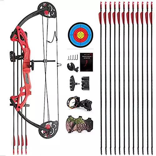 Best Budget Compound Bow [2024]