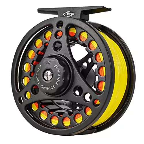 Best Budget Fly Reel: Top Picks for Anglers on a Tight Budget [2024]