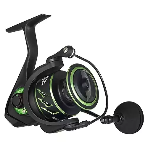 Best Budget Spinning Reels for the Money [2024]