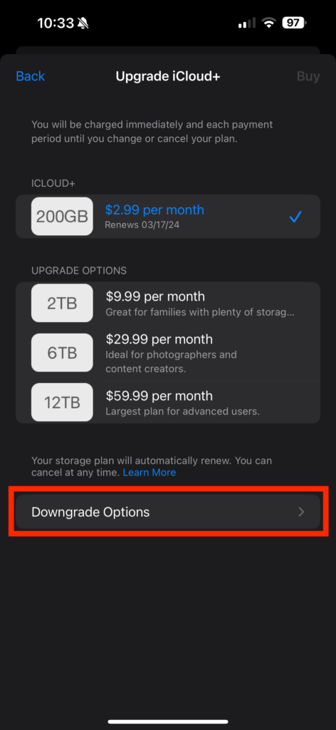 Step 6 to cancel an iCloud account is to choose "Downgrade Options."